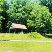 Review photo of Hoosier National Forest Goldenrod Loop Campground by Shelly S., June 7, 2018