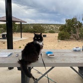 Review photo of Joe Skeen Campground by Cyndee F., June 6, 2021
