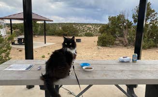 Cyndee F.'s photo of camping with pets at Joe Skeen Campground in New Mexico