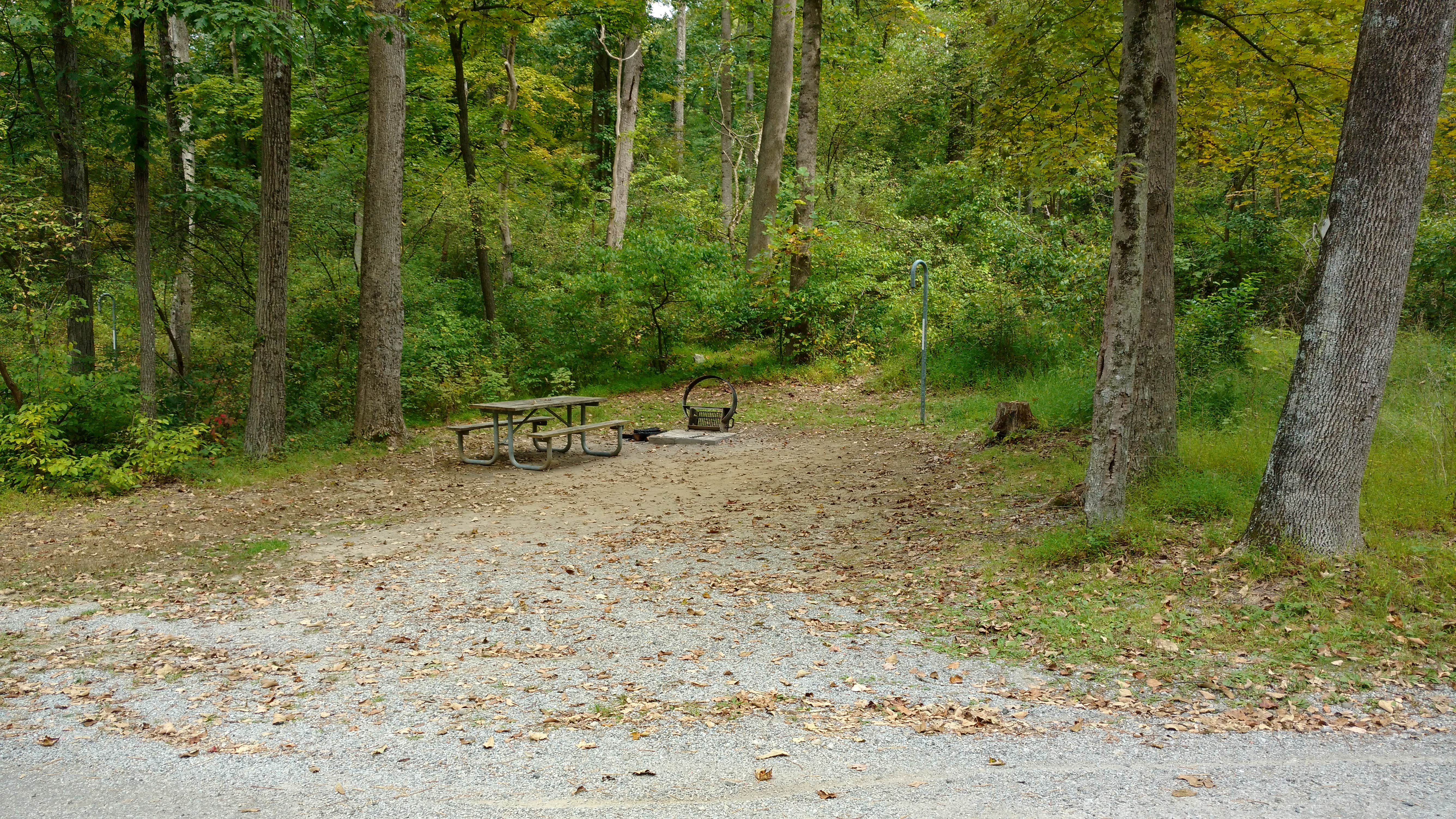 Camper submitted image from Swartswood State Park Campground - TEMPORARILY CLOSED - 4