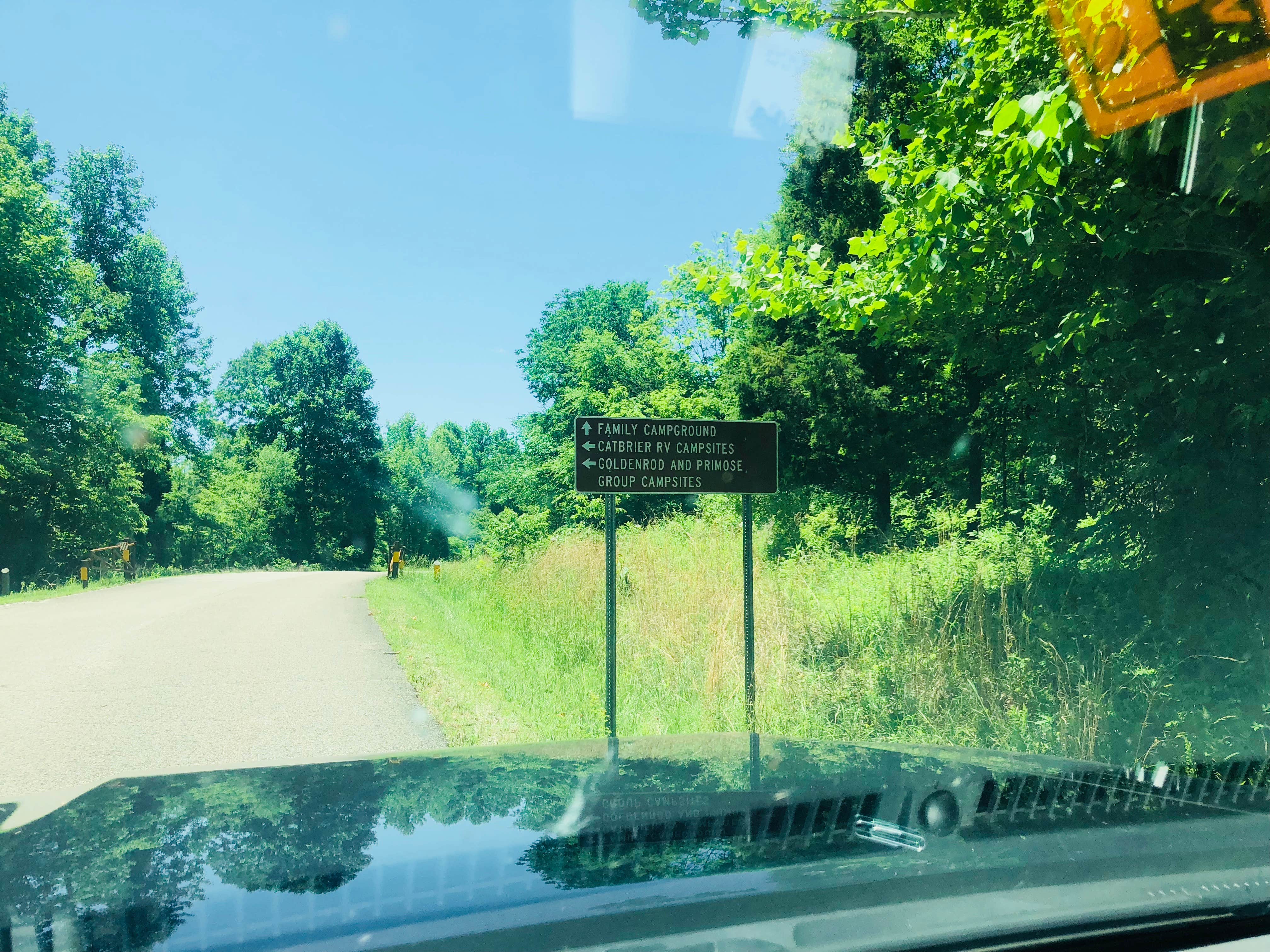 Camper submitted image from Hoosier National Forest Goldenrod Loop Campground - 3