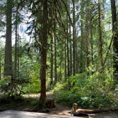 Review photo of Whispering Falls Campground by Kelly S., June 6, 2021