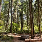 Review photo of Whispering Falls Campground by Kelly S., June 6, 2021