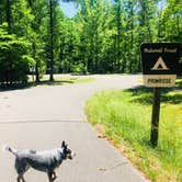 Review photo of Tipsaw Lake by Shelly S., June 7, 2018