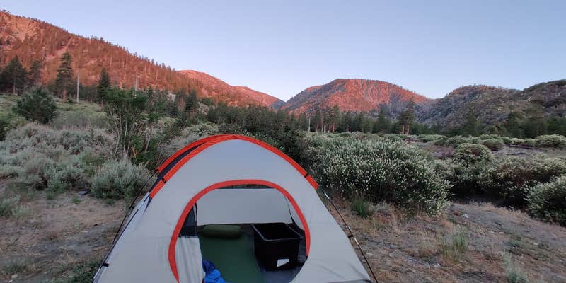 Camper submitted image from Stockton Flats Yellow Post Sites 3-8