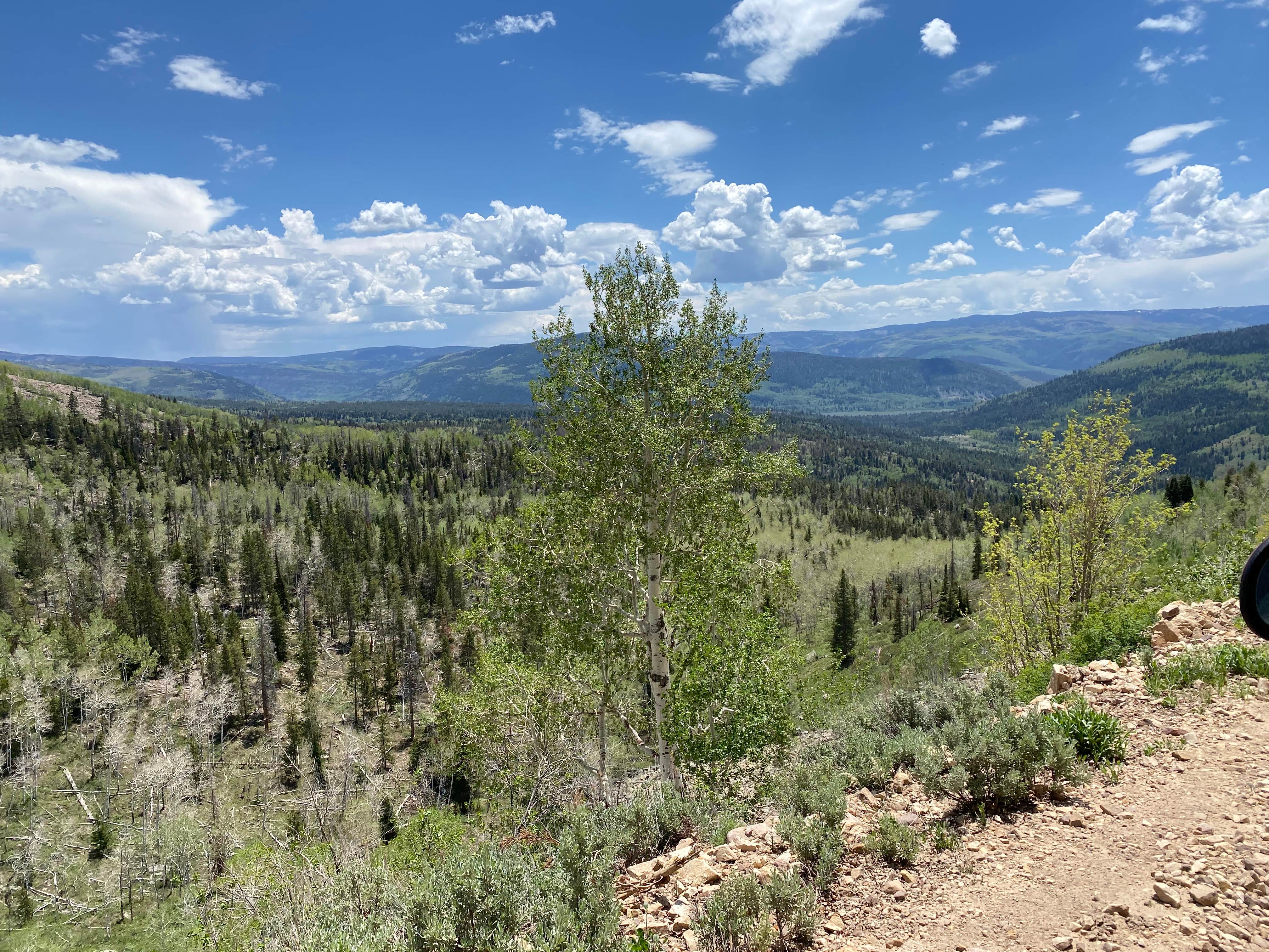 Camper-submitted photo at Shingle Creek ATV Campground near Coalville, UT
