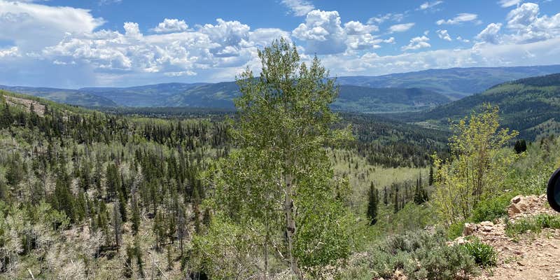 Camper submitted image from Shingle Creek ATV Campground