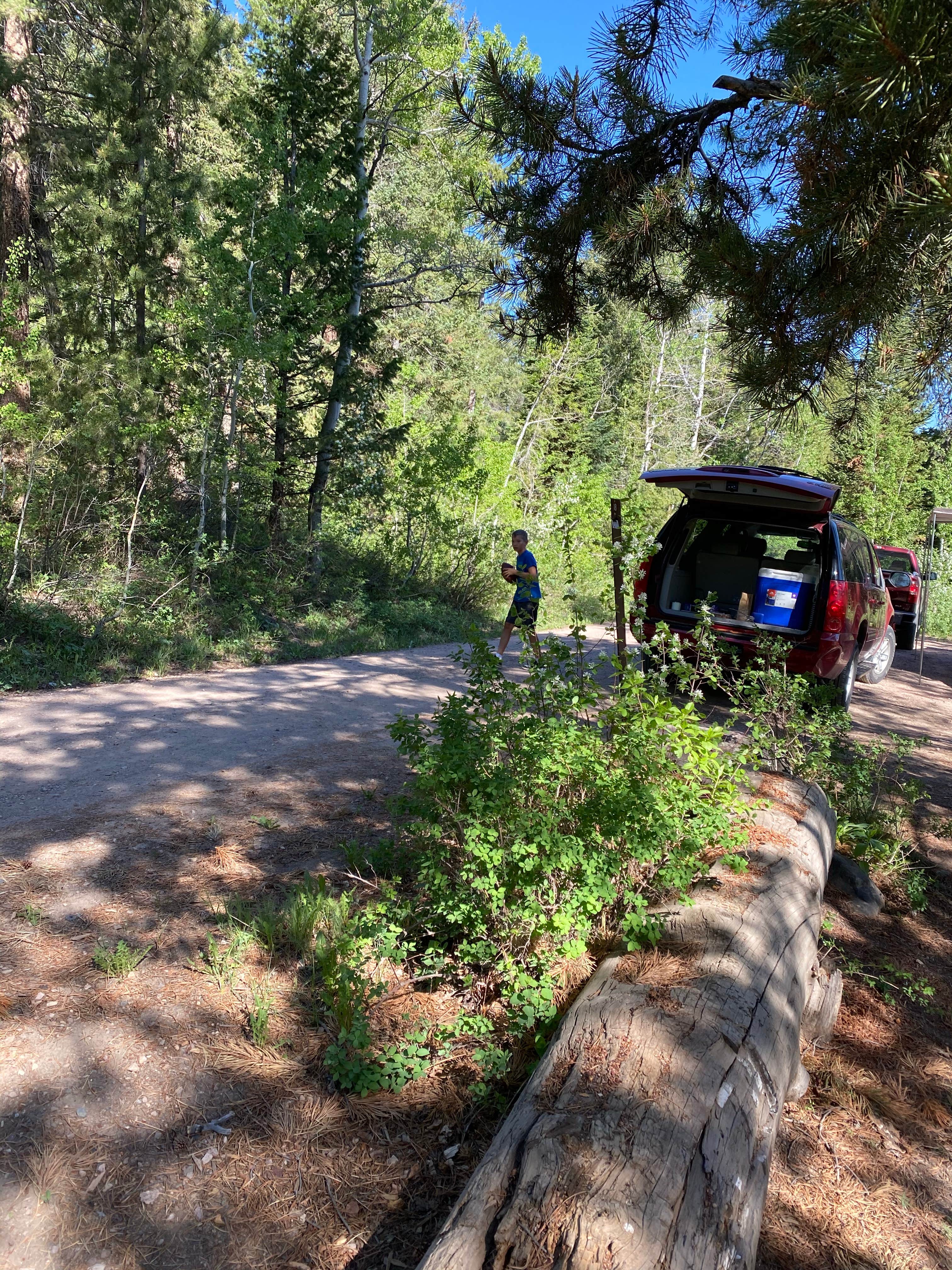 Camper submitted image from Shingle Creek ATV Campground - 3