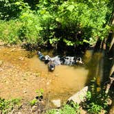 Review photo of Tipsaw Lake by Shelly S., June 7, 2018