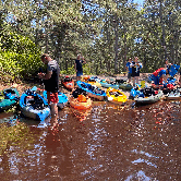 Review photo of Bass River State Forest by Jeff J., June 6, 2021