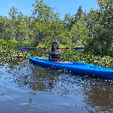 Review photo of Bass River State Forest by Jeff J., June 6, 2021