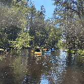 Review photo of Bass River State Forest by Jeff J., June 6, 2021