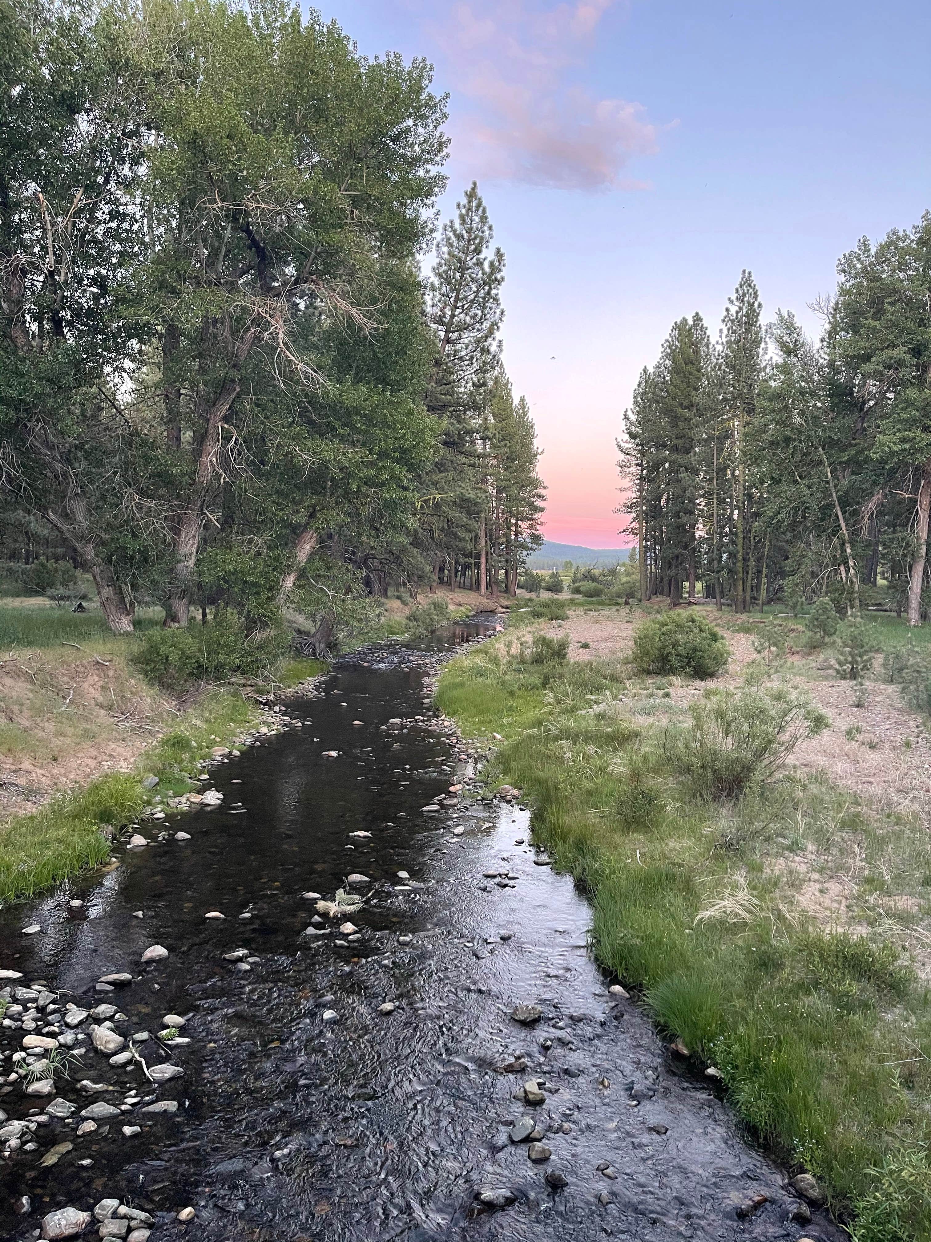 Camper-submitted photo at Clio's Rivers Edge RV Park near Calpine, CA