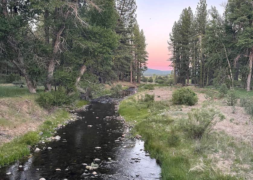 Clio's Rivers Edge RV Park Camping The Dyrt