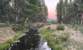 Camping near Plumas National Forest Gold Lake Campground: Clio's Rivers Edge RV Park, Clio, California