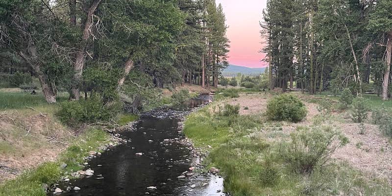Camper submitted image from Clio's Rivers Edge RV Park
