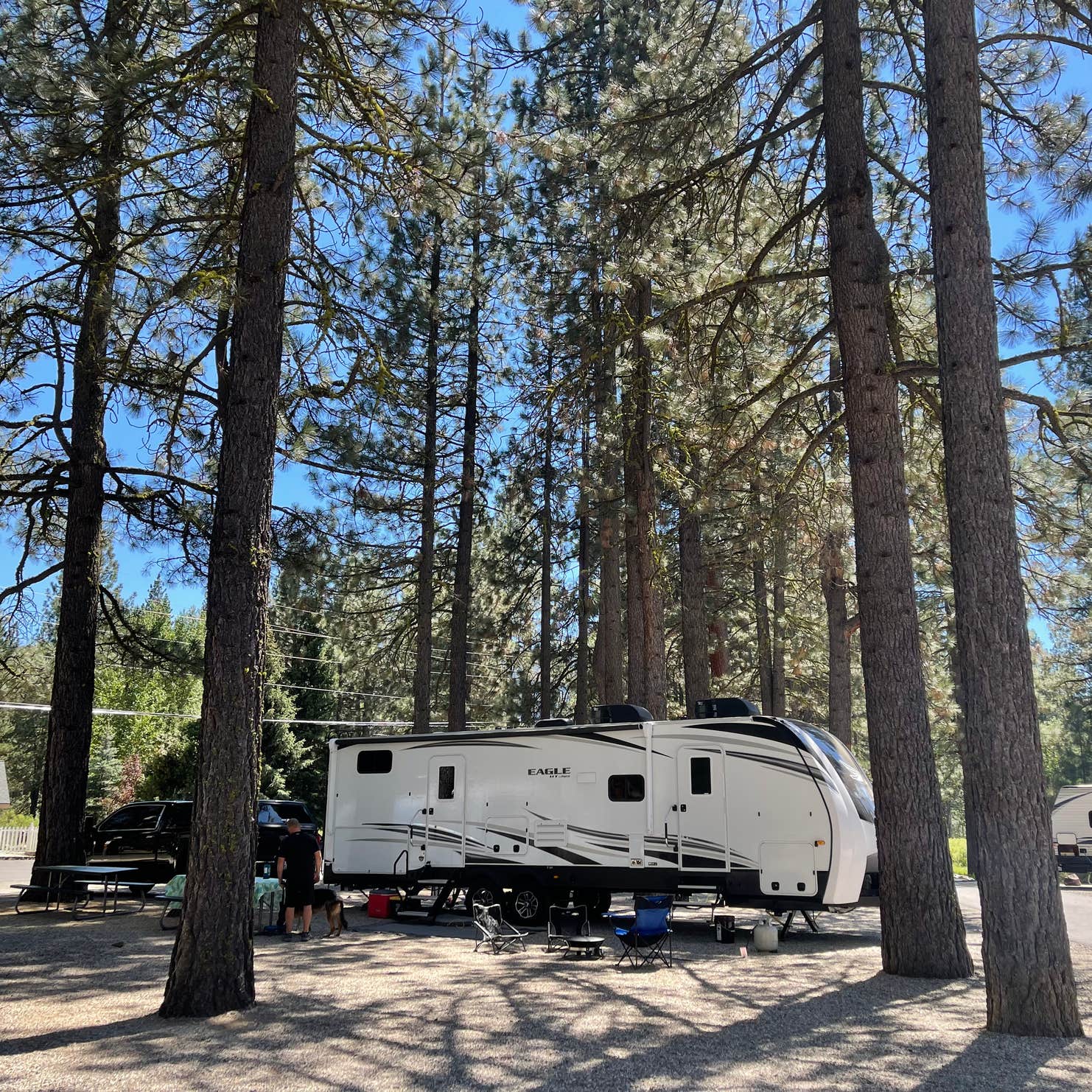 Clio's Rivers Edge RV Park Camping The Dyrt