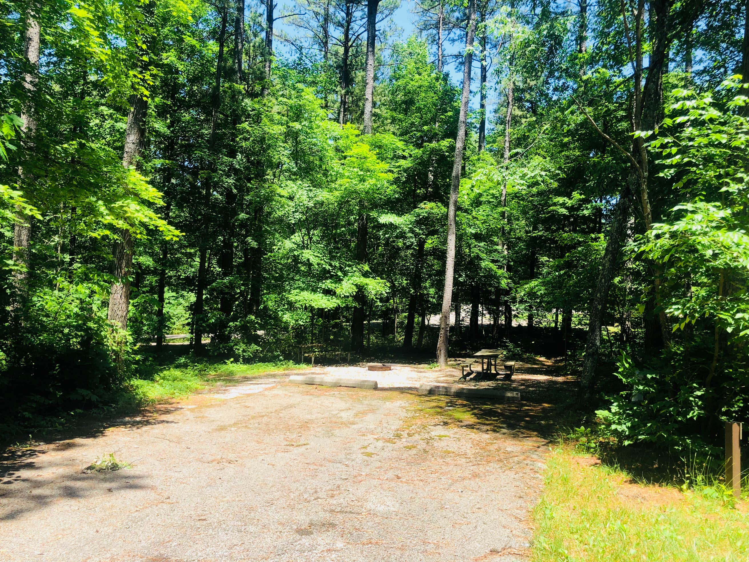 Hoosier National Forest Primrose Loop Campground The Dyrt