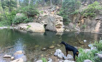 Raquel R.'s photo of camping with pets at Cave Springs near Coconino National Forest