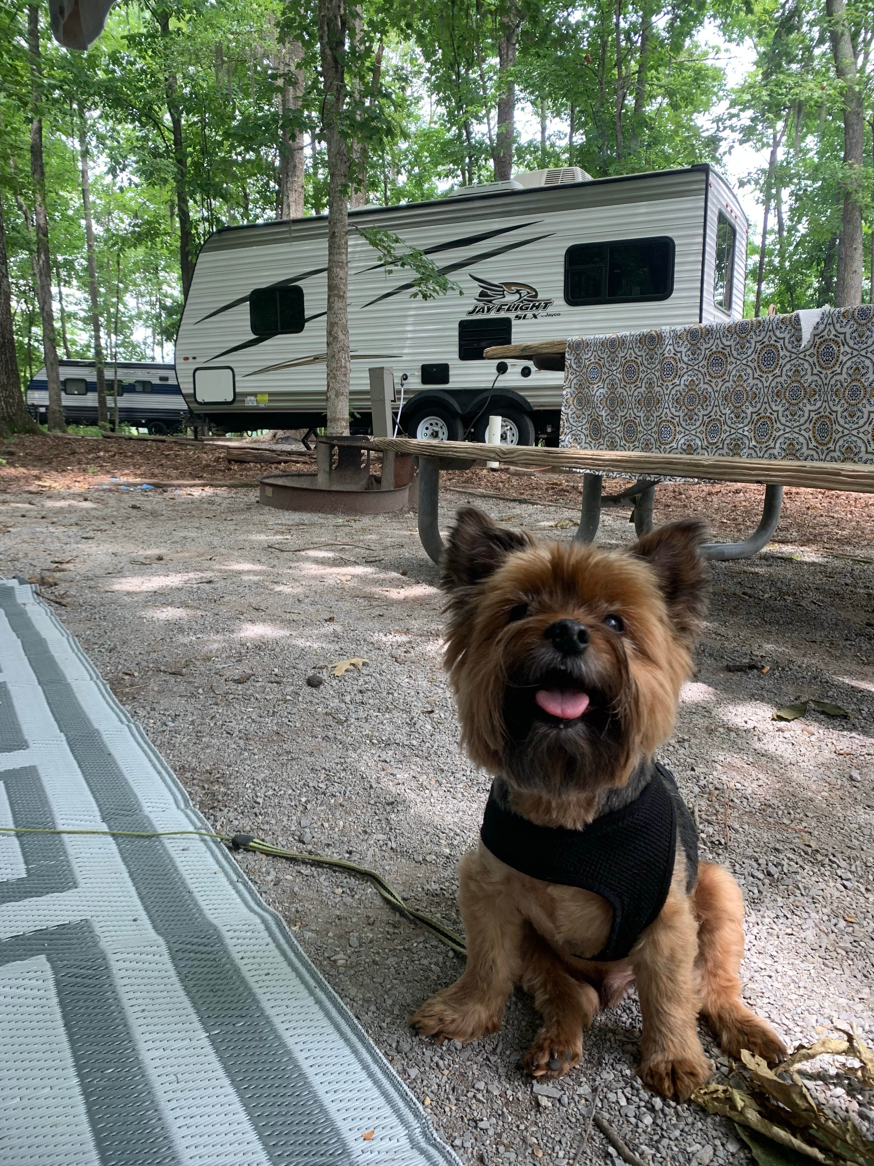 Genie C.'s photo of camping with pets at Gunter Hill Campground near Hoover, AL