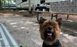 Genie C.'s photo of camping with pets at Gunter Hill Campground near Selma, AL