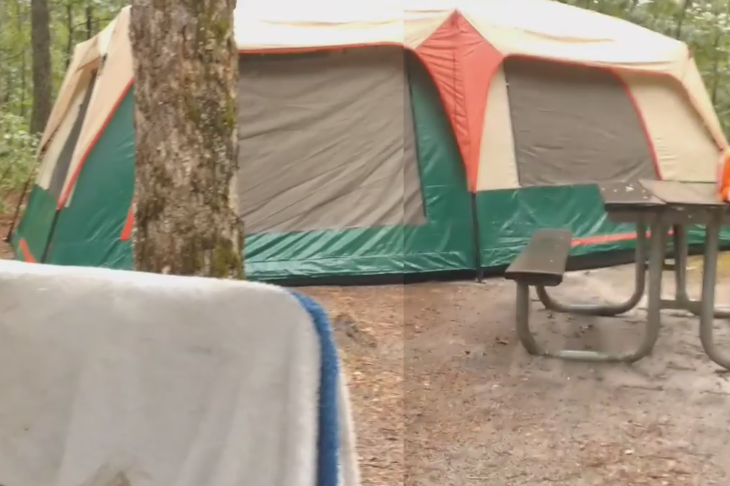 Camper submitted image from Brendan Byrne State Forest - 4
