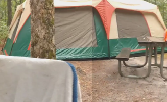 Dwight D.'s photo at Brendan Byrne State Forest near Mount Laurel, NJ