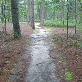 Review photo of Brendan Byrne State Forest by Dwight D., June 6, 2021