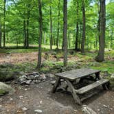 Review photo of Sebago Cabin Camp — Harriman State Park by Sara P., June 6, 2021