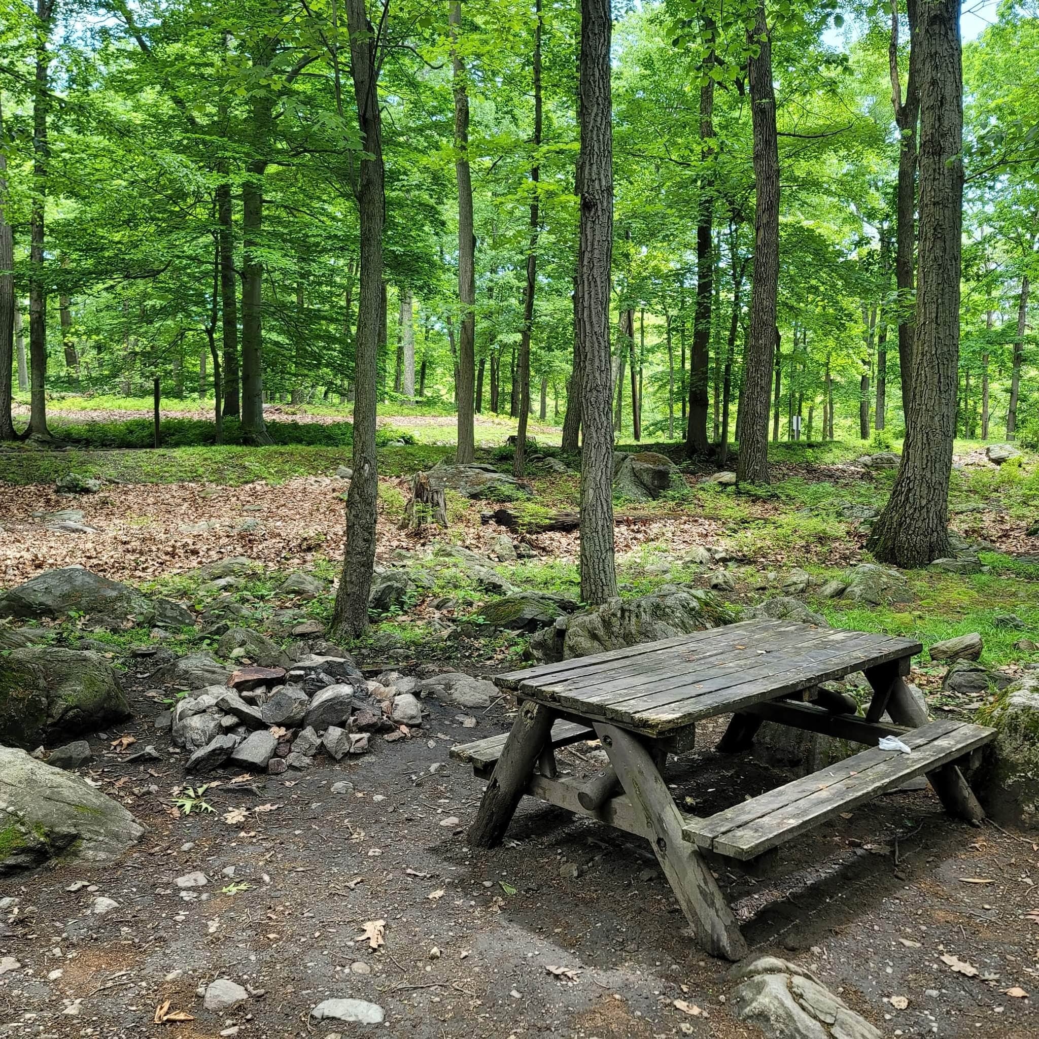 Camper submitted image from Sebago Cabin Camp — Harriman State Park - 3