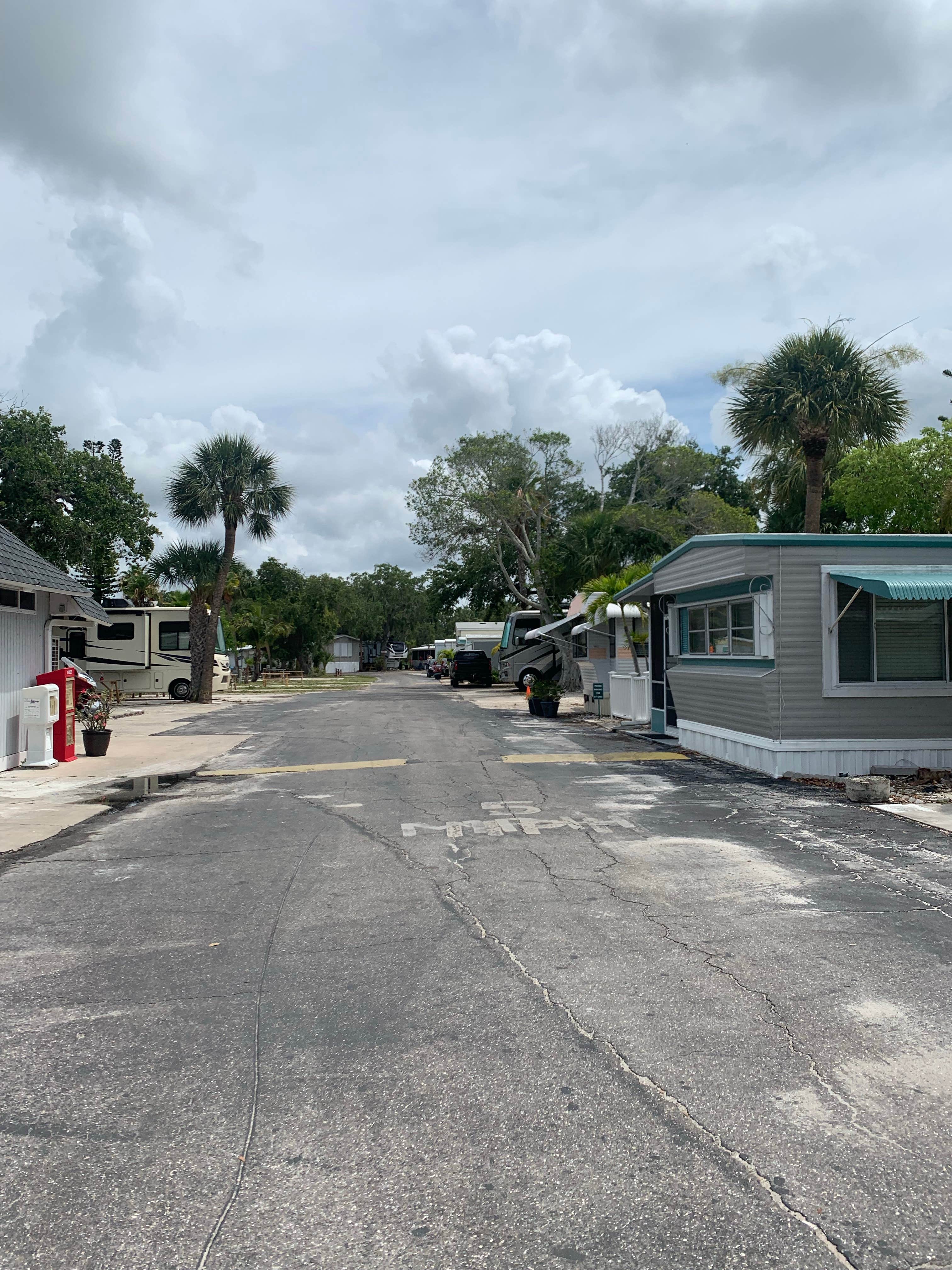 Camper submitted image from Red Coconut RV Park - PERMANENTLY CLOSED - 4