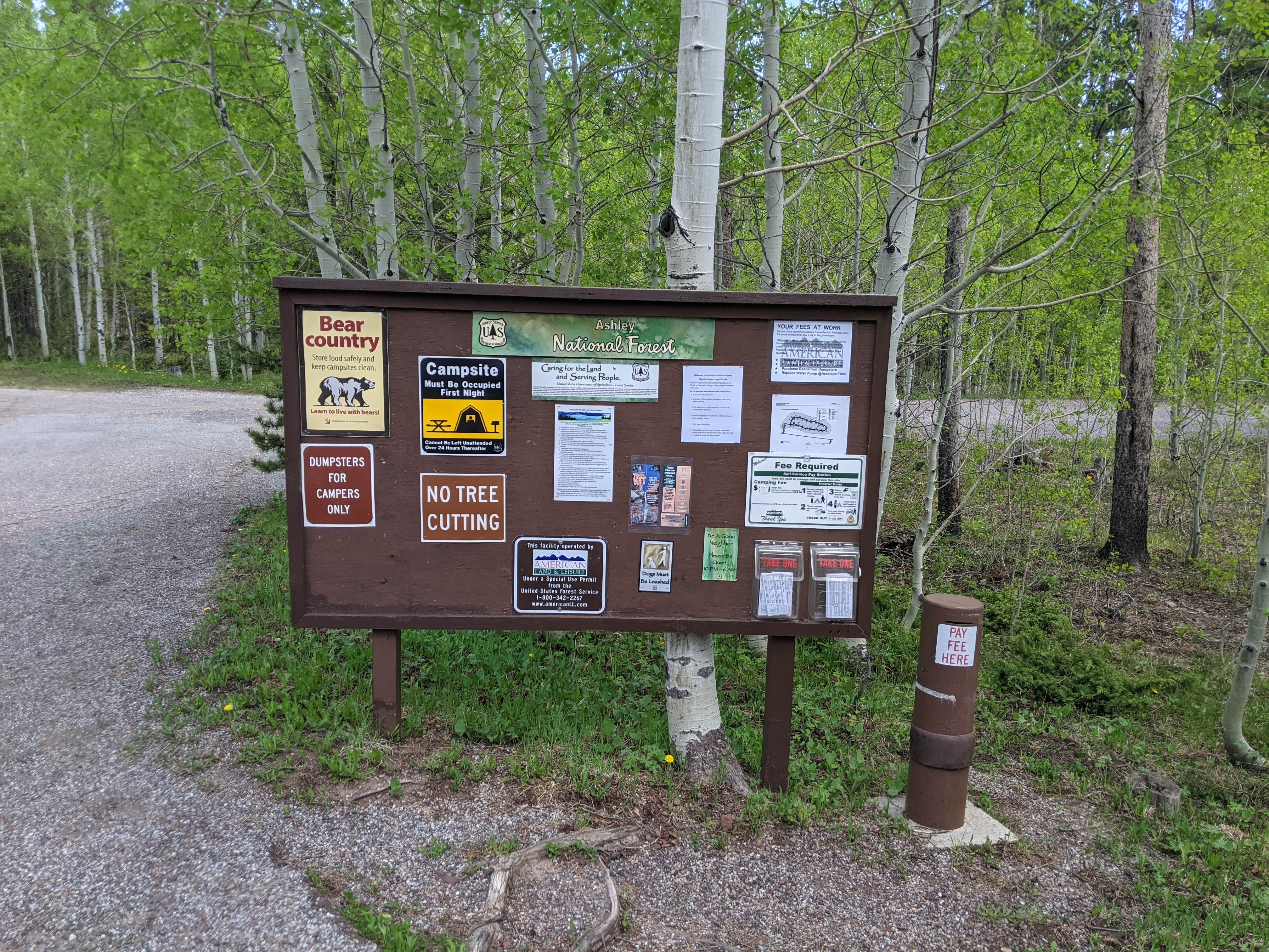 Camper-submitted photo at Lodgepole Campground near Fruitland, UT