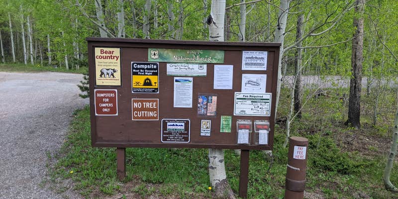 Camper submitted image from Lodgepole Campground