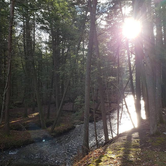 Review photo of Stokes State Forest by Dwight D., June 6, 2021