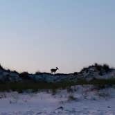 Review photo of Topsail Hill Preserve State Park Campground by Latika Y., June 6, 2021