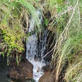 Review photo of Potlatch State Park Campground by Kari T., June 6, 2021