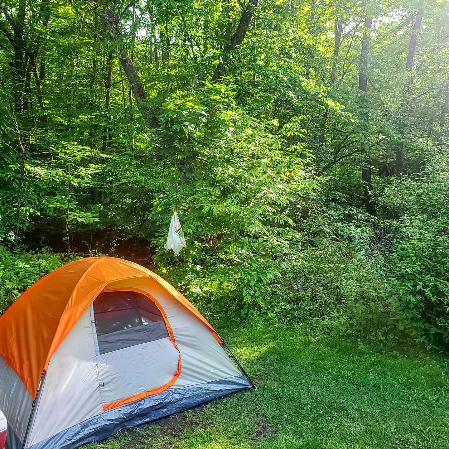 Amanda C.'s photo at Mt. Greylock Campsite Park near Poestenkill, NY