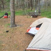 Review photo of Waquoit Bay National Estuarine by Tim C., June 7, 2018