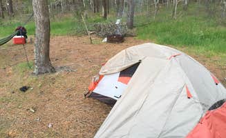 Tim C.'s photo of tent camping at Washburn Island Campsites — Waquoit Bay Reserve near Mansfield Center, MA