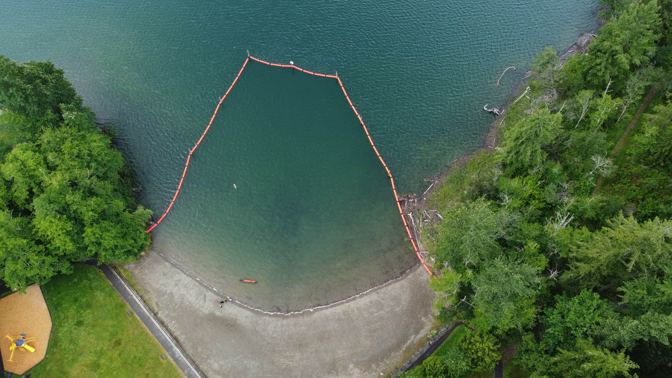 Alder Lake Campground The Dyrt