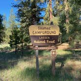 Review photo of Goumaz Campground - Lassen National Forest by Alison , June 7, 2021