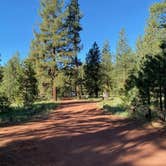 Review photo of Goumaz Campground - Lassen National Forest by Alison , June 7, 2021