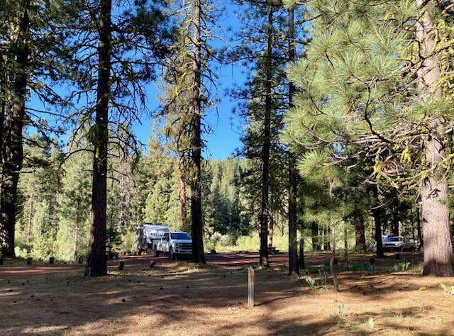 Alison's photo at Goumaz Campground - Lassen National Forest near Crescent Mills, CA