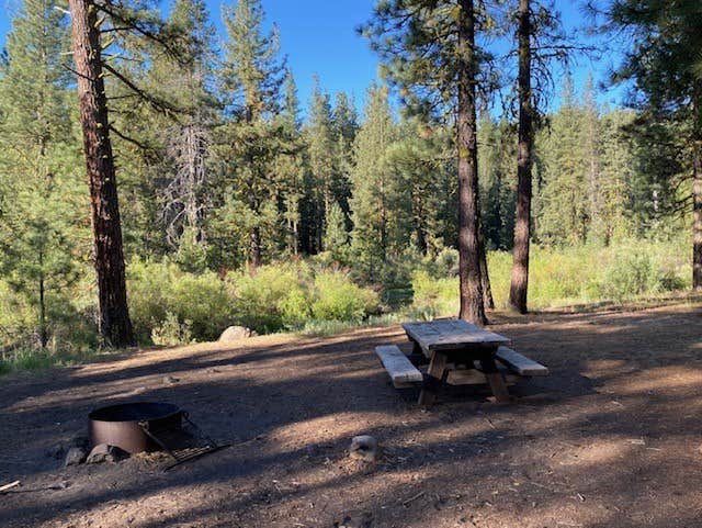 Alison's photo at Goumaz Campground - Lassen National Forest near Susanville, CA