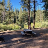 Review photo of Goumaz Campground - Lassen National Forest by Alison , June 7, 2021