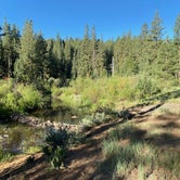 Review photo of Goumaz Campground - Lassen National Forest by Alison , June 7, 2021