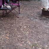 Review photo of Suwannee River Rendezvous Resort and Campground by Rusty R., June 7, 2021