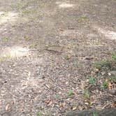 Review photo of Suwannee River Rendezvous Resort and Campground by Rusty R., June 7, 2021