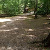 Review photo of Suwannee River Rendezvous Resort and Campground by Rusty R., June 7, 2021