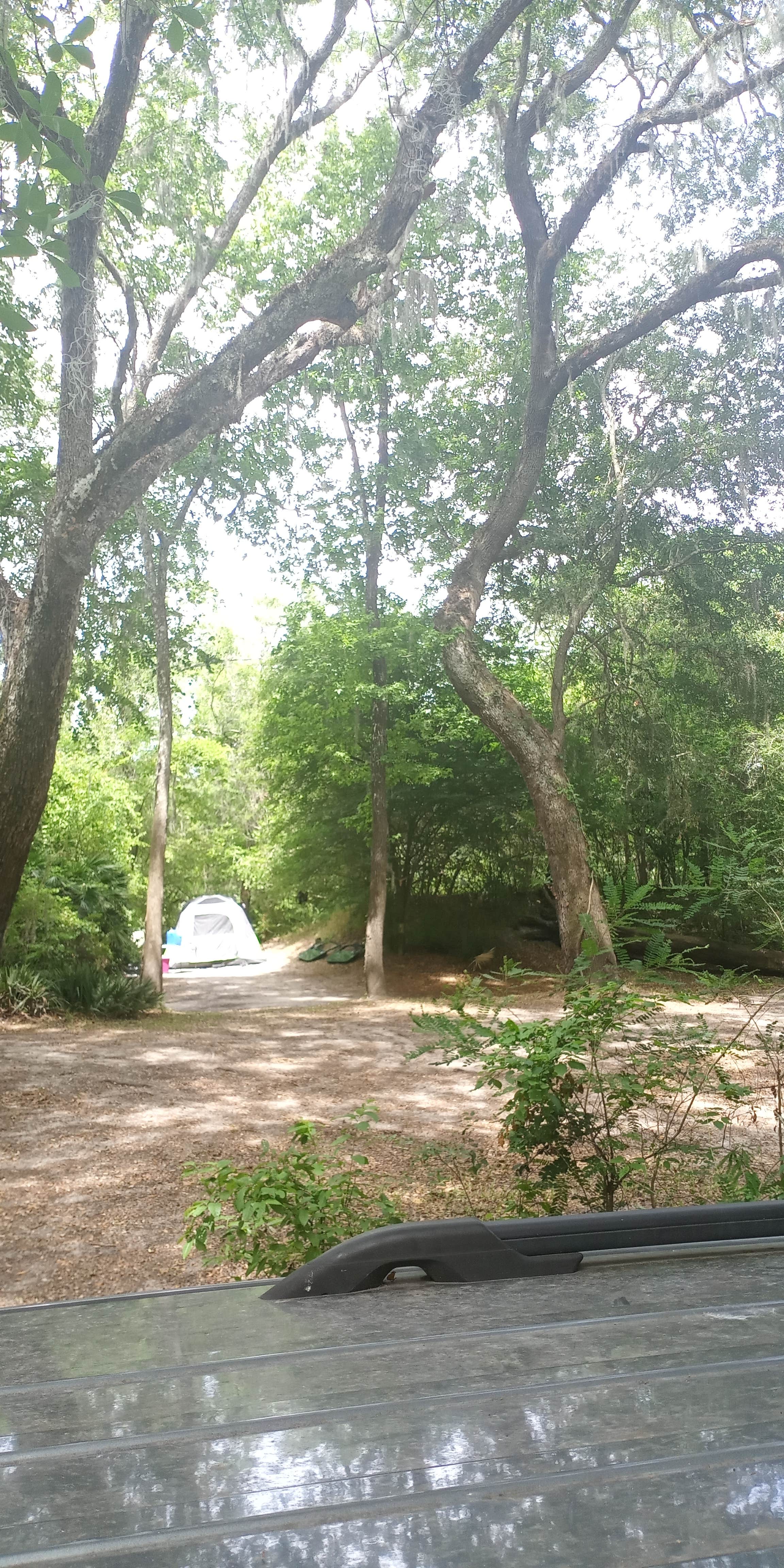 Rusty R.'s photo at Suwannee River Rendezvous Resort and Campground near Suwannee, FL